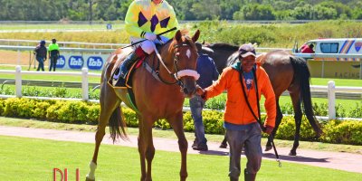 R3 Jacques Strydom-Diago de Gouveia-Tree Of Life-Fairview 1-March-2019-1-PHP_8939