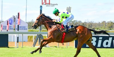 R6 Snaith Racing-Richard Fourie-Sir Frenchie-Fairview 1-March-2019-1-PHP_9030