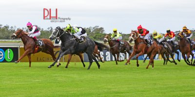 R5 Yvette Bremner Lyle Hewitson Calla Lily-Fairview 5-April-2019-1-PHP_3730