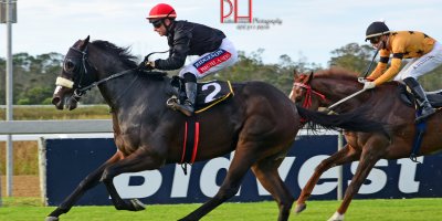 R8 Alan Greeff Greg Cheyne In A Perfect World-Fairview 19-April-2019-1-PHP_5726