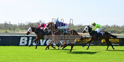 R2 Alan Greeff Teaque Gould Cosy Chestnut-Fairview 3-May-2019-PHP_7696