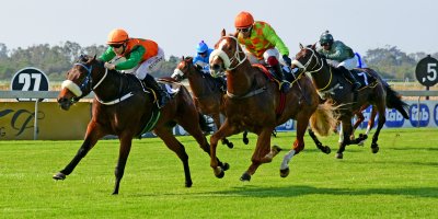 R2 Jacques Strydom Collen Storey Adios Gringos- 31 May 2019-Fairview Racecourse-PHP_1006