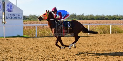 R5 Jacques Strydom Greg Cheyne Onesie- 17 May 2019-Fairview Racecourse-PHP_0128