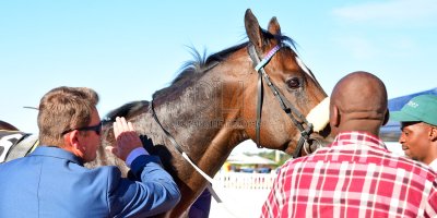 R6 Andre Nel Bernard Fayd'Herbe Percival- 11 May 2019-Fairview Racecourse-PHP_9305