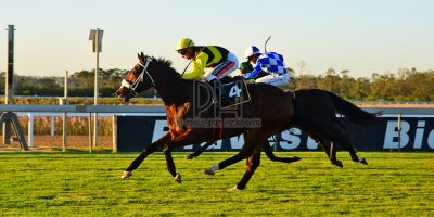 R8 Alan Greeff Greg Cheyne Dame Commander- 24 May 2019-Fairview Racecourse-PHP_0891