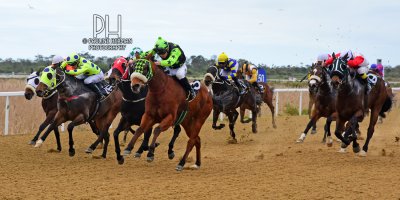 R6 Five Star Racing Devin Ashby For Luck Sake- 8 July 2019-Fairview Racecourse-1-PHP_9473