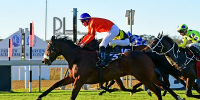 R8 Alan Greeff Bernard FaydH'erbe Rings and Things- 7 June 2019-Fairview Racecourse-1-PHP_5219