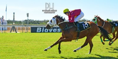 R1 Gavin Smith Kyle Strydom Flame Up-Fairview Racecourse-9 August 20191-PHP_4410
