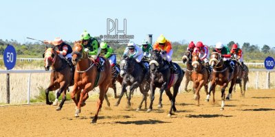 R3 Five Star Shadlee Fortune Victory March-Fairview Racecourse-2 September 20191-PHP_7314