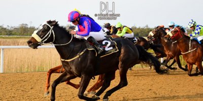 R8 Grant Paddock Chase Maujean Strong n Brave-Fairview Racecourse-20 September 20191-PHP_9700