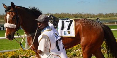 -Fairview Racecourse-Algoa Cup Social Images- Sponsored Saddle Cloths -27 October 2019-1-DSC_0263