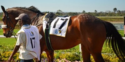 -Fairview Racecourse-Algoa Cup Social Images- Sponsored Saddle Cloths -27 October 2019-1-DSC_0264