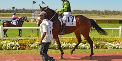 -Fairview Racecourse-Algoa Cup Social Images- Sponsored Saddle Cloths -27 October 2019-1-DSC_0267