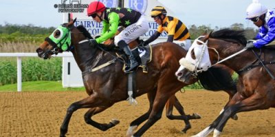 Fairview Racecourse - R7 Five Star Racing Collen Storey The Greek Soldier01 November 2019-1-PHP_6457