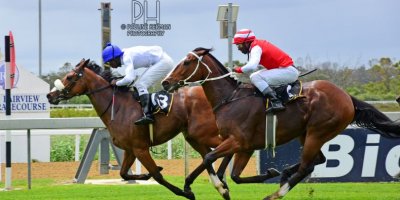 R1 Alan Greeff Shoes Nonzonzo Tungsten - Workriders - -Fairview Racecourse -8 November 2019-1-PHP_6769