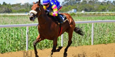 R2 Alan Greeff Greg Cheyne Foreign Source-Fairview Racecourse -15 November 2019-1-PHP_7669